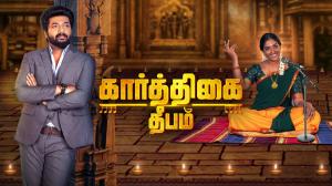 Karthigai Deepam Episode 546 on Zee Tamil