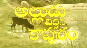 Alludu Diddina Kapuram on ETV Cinema