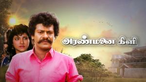 Aranmanai Kili on Colors Tamil HD