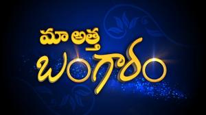 Maa Attha Bangaram Episode 489 on ETV Telugu