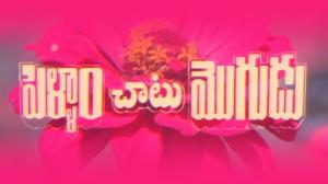 Pellam Chatu Mogudu on ETV Cinema