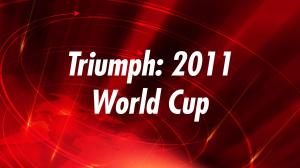 Triumph: 2011 World Cup on India Today