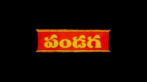 Pandaga on ETV Telugu