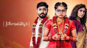 Seethe Raamudi Katnam Episode 315 on Zee Telugu