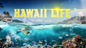 Hawaii Life on TLC Hindi