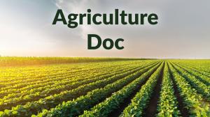 Agriculture Doc on India News Haryana