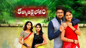 Kalyana Vaibhogam Episode 37 on Zee Telugu