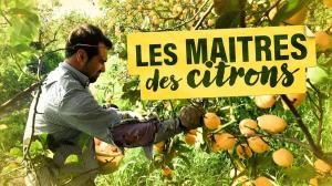 Les Maitres Des Citrons on TV5 Monde