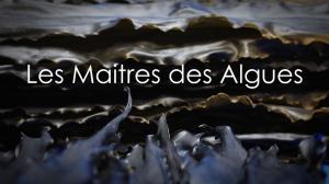 Les Maitres Des Algues on TV5 Monde