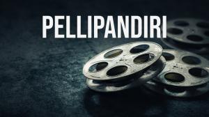 Pellipandiri on ETV HD