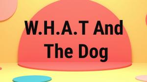 W.H.A.T And The Dog Episode 32 on Sony Yay Hindi