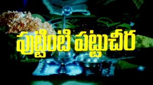 Puttinti Pattucheera on ETV Cinema HD 