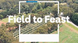 Field To Feast Episode 7 on ABC Australia