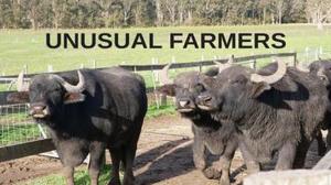 Unusual Farmers Episode 2 on ABC Australia