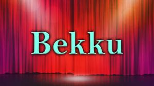 Bekku on Colors Kannada Cinema