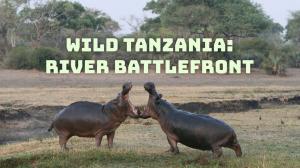 Wild Tanzania: River Battlefront on Animal Planet Hindi