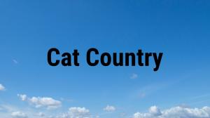 Cat Country on Animal Planet Hindi