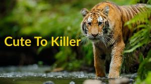 Cute To Killer on Animal Planet Hindi