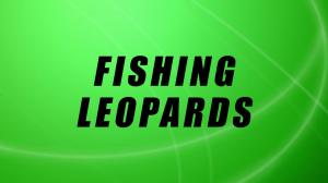 Fishing Leopards on Animal Planet Hindi