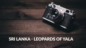 Sri Lanka - Leopards Of Yala on Animal Planet Hindi