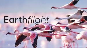 Earthflight on Animal Planet Hindi