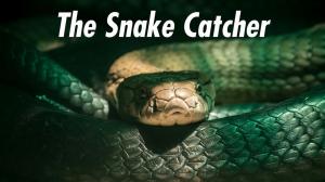 The Snake Catcher on Animal Planet Hindi