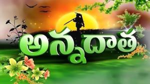 Annadata on ETV Andhra pradesh