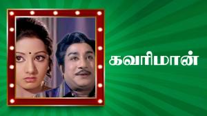 Kavarimaan on Polimer TV