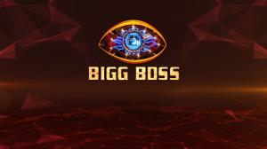 Bigg Boss on Colors SD