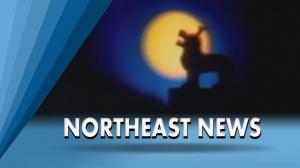 North East News on DD North East