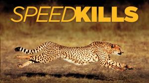 Speed Kills Episode 2 on Animal Planet Hindi