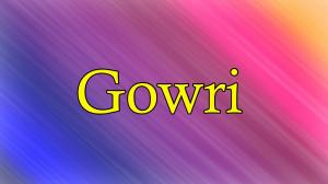 Gowri on Raj Digital Plus