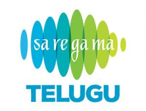 Hall of Filmy on Saregama Telugu