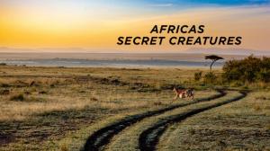 Africas Secret Creatures on Animal Planet Hindi