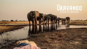 Okavango: River Of Dreams on Animal Planet Hindi