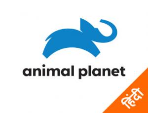 Epic Animal Encounters on Animal Planet Hindi