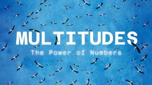 Multitudes: The Power Of Numbers on Animal Planet Hindi