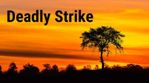 Deadly Strike on Animal Planet Hindi