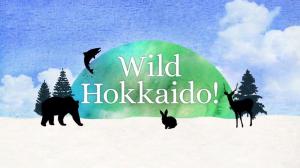 Wild Hokkaido! on NHK World Japan