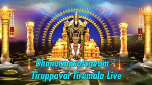 Dhanurmasotsavam - Tiruppavai Tirumala Live on Sri Venkateshwar Bhakti