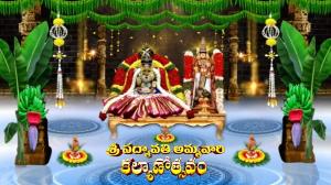 Sri Padmavati Ammavari Kalyanam Tiruchanoor Live on Sri Venkateshwar Bhakti