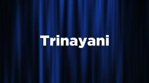 Trinayani Episode 649 on Zee TV