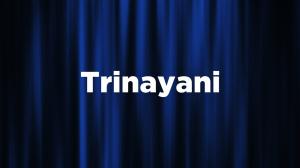 Trinayani Episode 680 on Zee TV