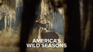 America's Wild Seasons Episode 1 on Animal Planet Hindi