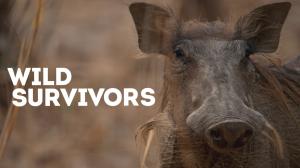 Wild Survivors Episode 1 on Animal Planet Hindi