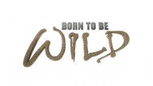 Born To Be Wild Episode 3 on History TV18 HD