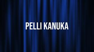 Pelli Kanuka on Vanitha