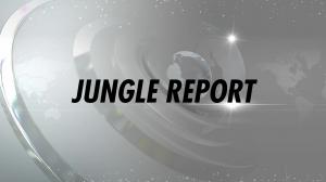 Jungle Report on News Nation - past program
