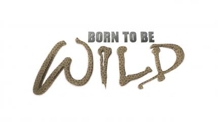 Born To Be Wild Episode 2 on History TV18 SD