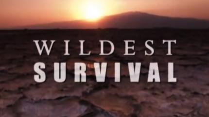 Wildest Survival Episode 10 on Animal Planet Hindi